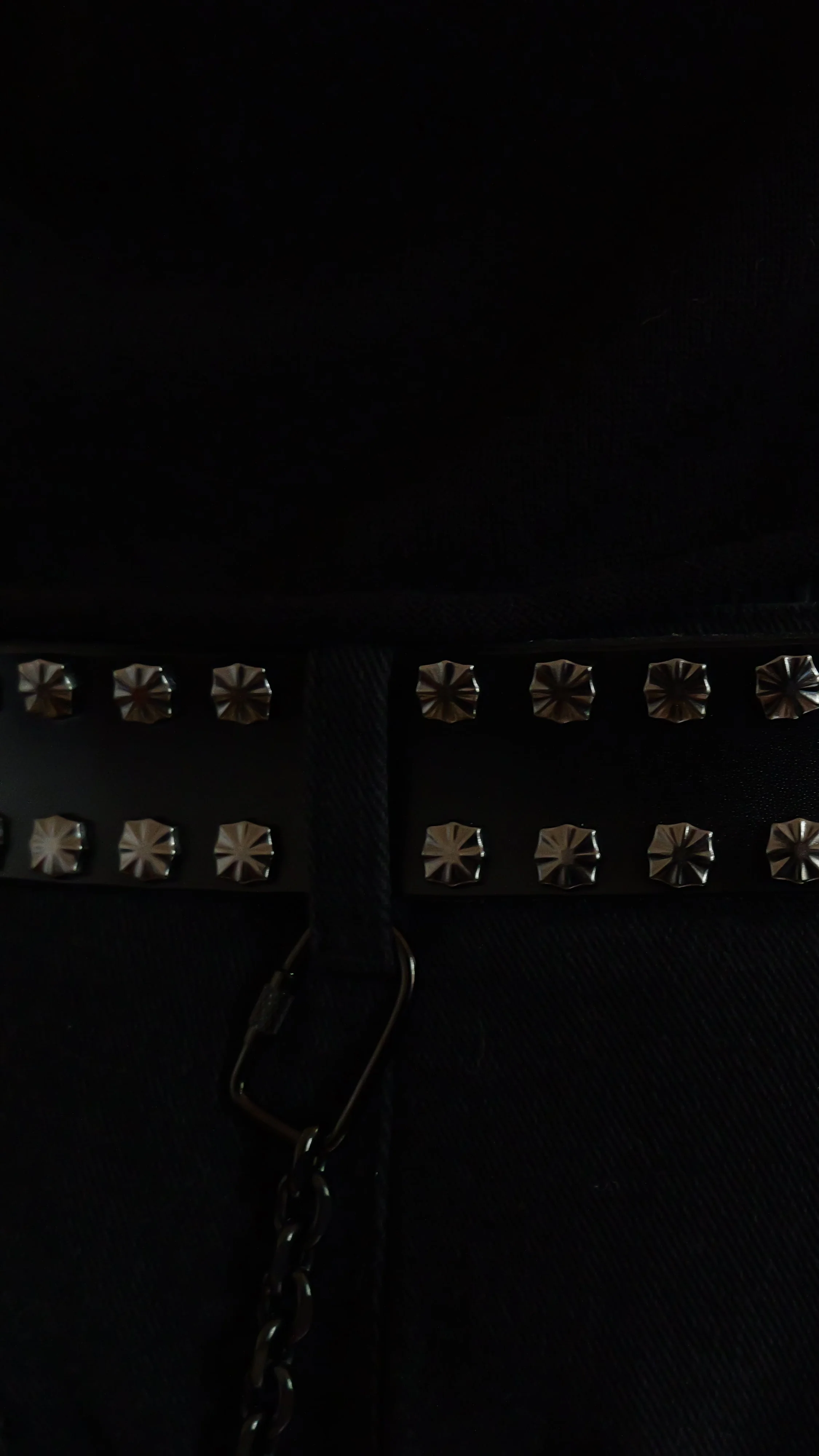 (Black) Beast Belt - Image 2